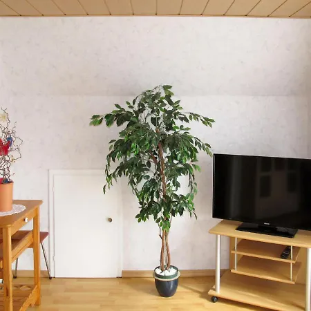 Kipping By Interhome Apartamento *